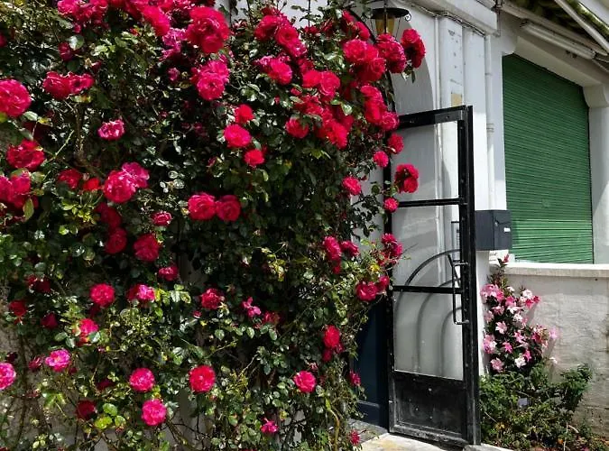 Appartement T2 Cosy Proche Gare Et Centre - Parking Gratuit A Proximite